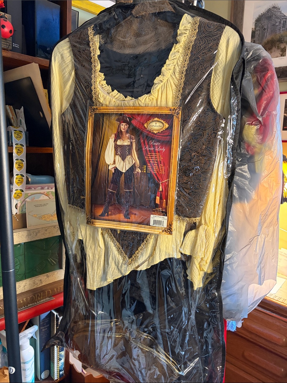 Women's Pirate Costume with Yellow Blouse and Black Velvet Pants and Brown Vest